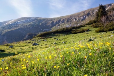 From the unreal to the real blog image - The meaning of “born again”